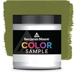 COLOR SAMPLE 2145-10
