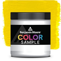 COLOR SAMPLE 2023-20