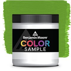 COLOR SAMPLE 2029-20