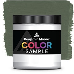 COLOR SAMPLE 469