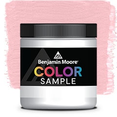 COLOR SAMPLE 1318