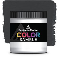 COLOR SAMPLE 2120-20