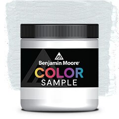 COLOR SAMPLE 875