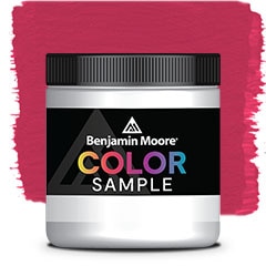 COLOR SAMPLE 2079-20