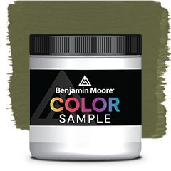 COLOR SAMPLE CC-666