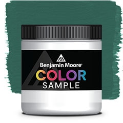 COLOR SAMPLE 651