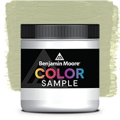 COLOR SAMPLE CW-485