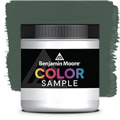 COLOR SAMPLE 707