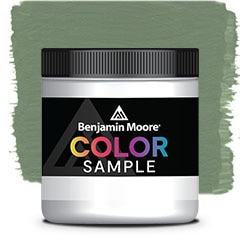 COLOR SAMPLE 454