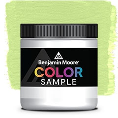 COLOR SAMPLE 411