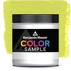 COLOR SAMPLE 397
