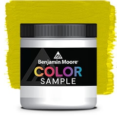 COLOR SAMPLE 2024-10