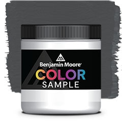 Benjamin Moore® Color Sample 8 oz. Cheating Heart 1617