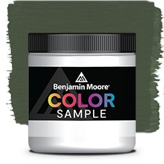 COLOR SAMPLE CSP-810