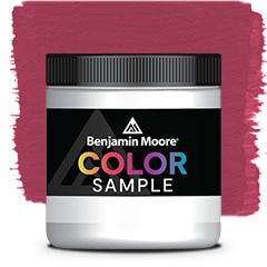 COLOR SAMPLE 1351