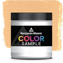 COLOR SAMPLE 123