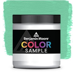 COLOR SAMPLE 579