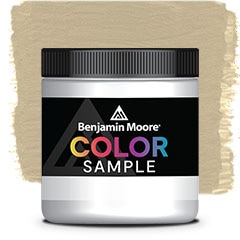 COLOR SAMPLE AF-380