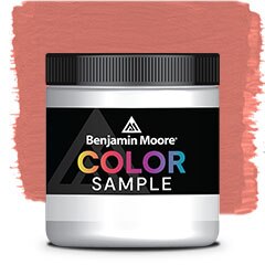 COLOR SAMPLE 1298