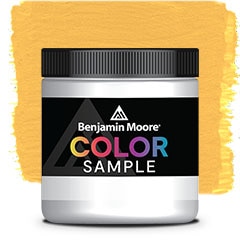COLOR SAMPLE 307