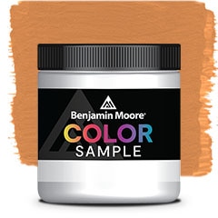 COLOR SAMPLE 119