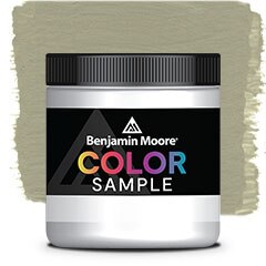 COLOR SAMPLE 509