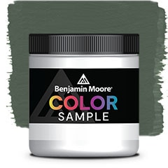 COLOR SAMPLE 448