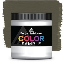COLOR SAMPLE 2139-20