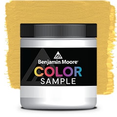 COLOR SAMPLE CW-405