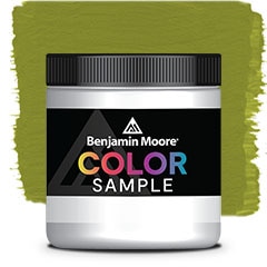 COLOR SAMPLE 2146-10