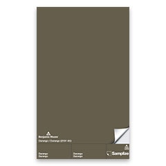 Peel-and-Stick Paint Sample Durango 2137-30