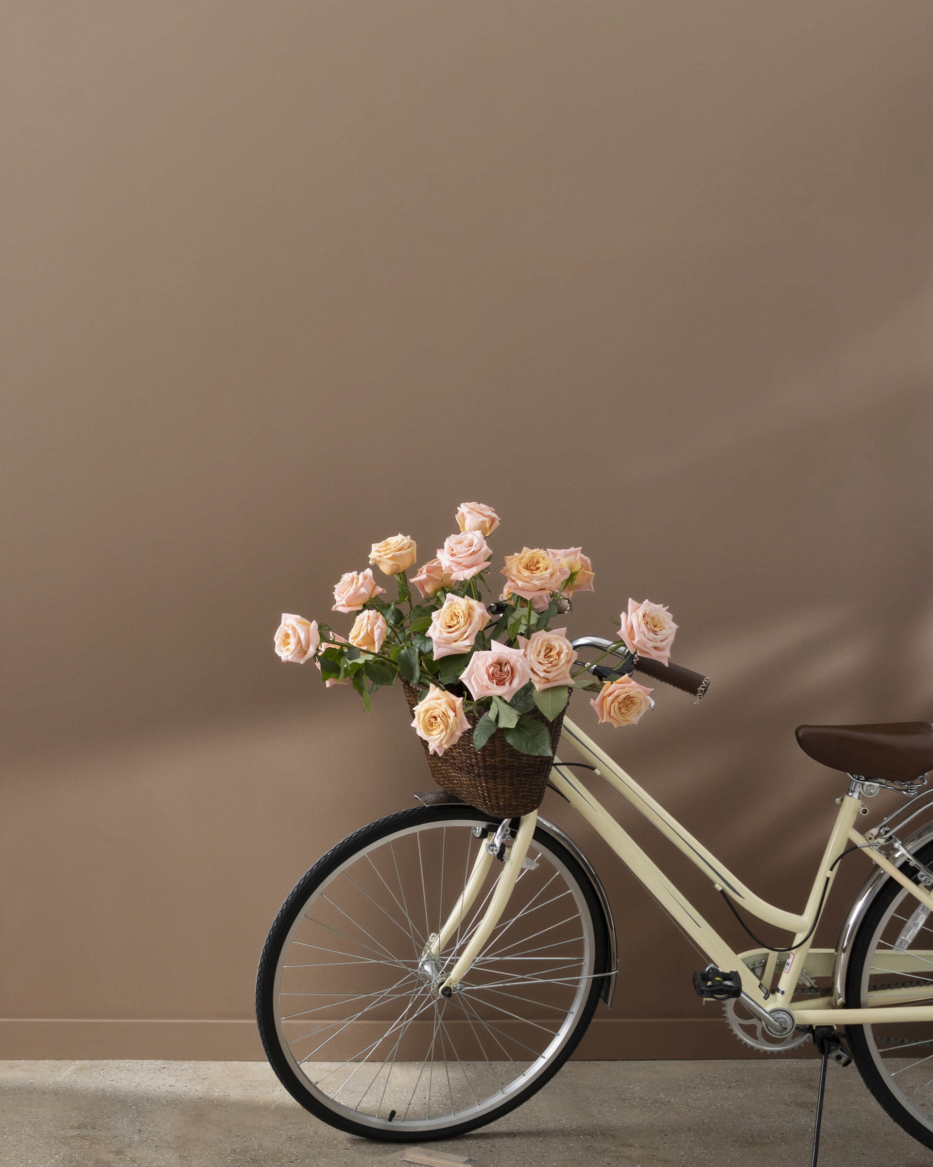 EEI-4707-TAN_9.jpg?v=1733901255