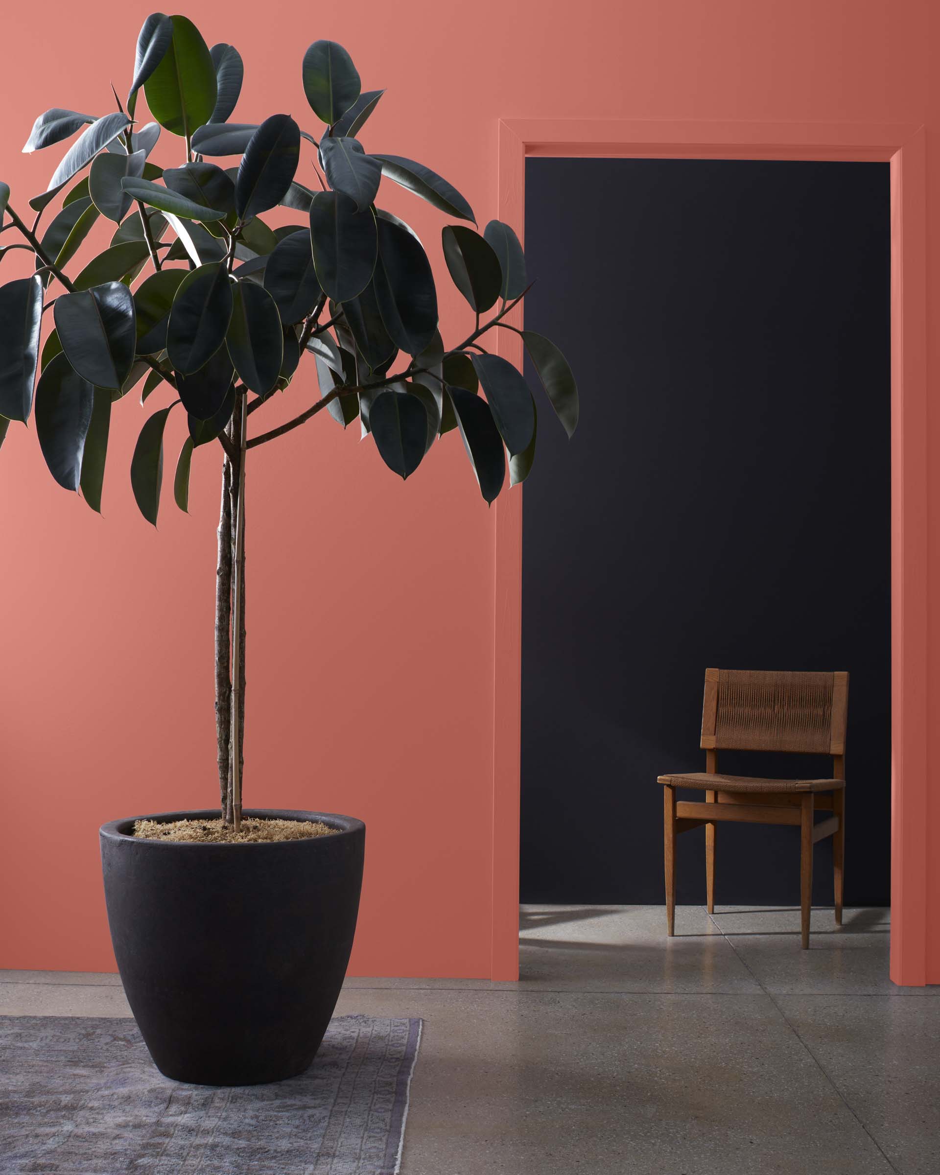 Wild Flower 2090-40 | Benjamin Moore