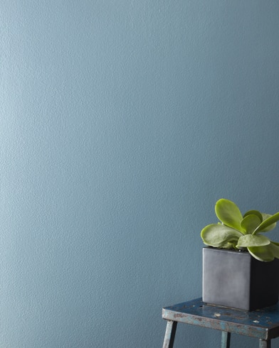 Painted wall with Labrador Blue CC-740