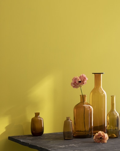 Painted wall with Citrus Burst 364