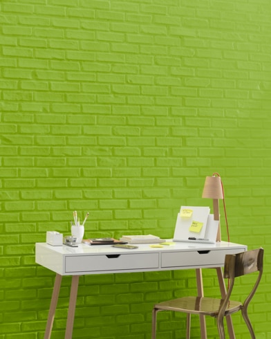 Mur peint en Vert Bernier 2028-20