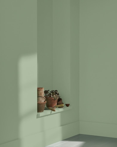 Painted wall with Adirondack Green 453