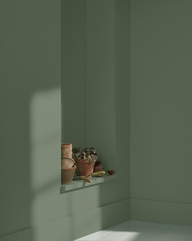 Painted wall with Backwoods 469