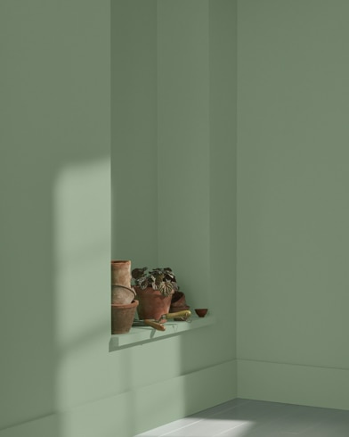 Mur peint en Haie de Cèdres 454