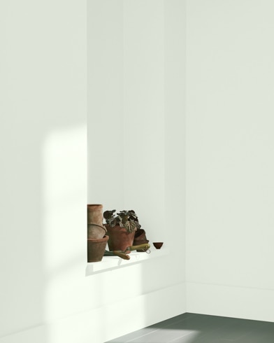 Painted wall with Dewdrop CC-608