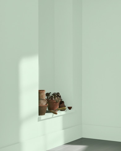 Painted wall with Nob Hill Sage 450