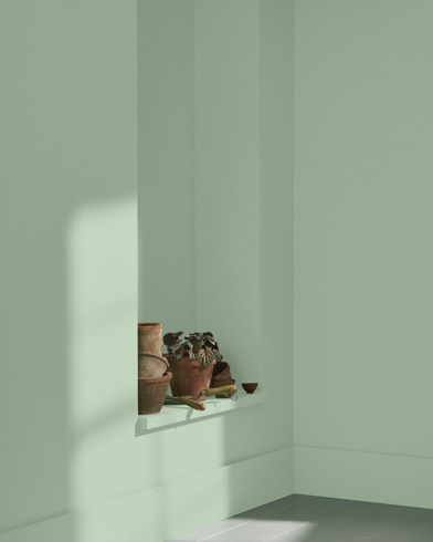 Painted wall with Norway Spruce 452