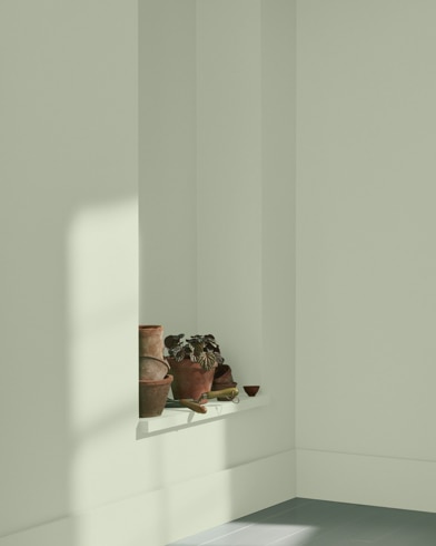Painted wall with Saybrook Sage HC-114