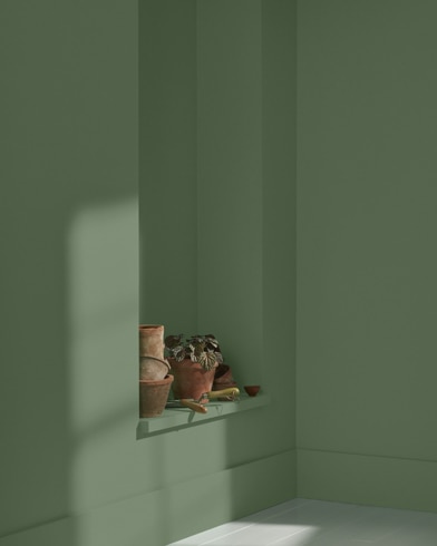 Painted wall with Sweet Basil 455
