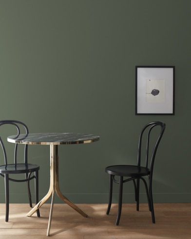 2140-30 Dark Olive a Paint Color by Benjamin Moore
