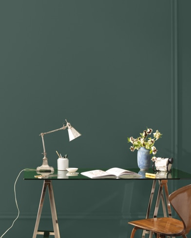 Painted wall with Crisp Romaine 686