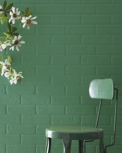 Painted wall with Balsam 567