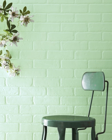 Painted wall with Cucumber Salad 562