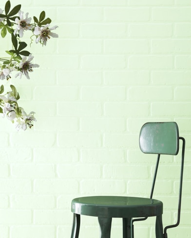 Painted wall with Lime Sorbet 2032-70