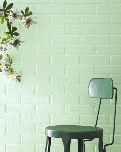 Top 10 Pista Green Colour Combinations For Your Walls 2024